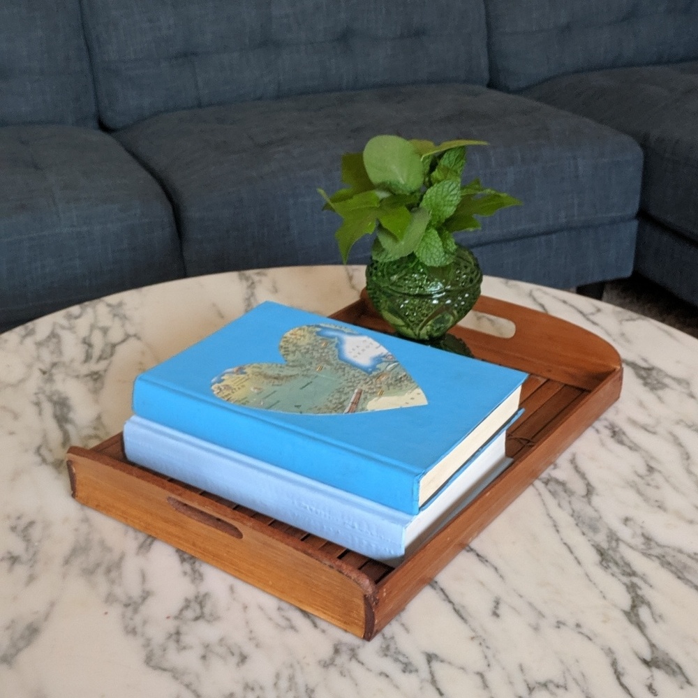 Set of 2 Blue Coffee Table Books
